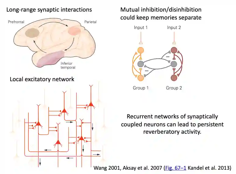 Memory in Human Brain-20250816191852994